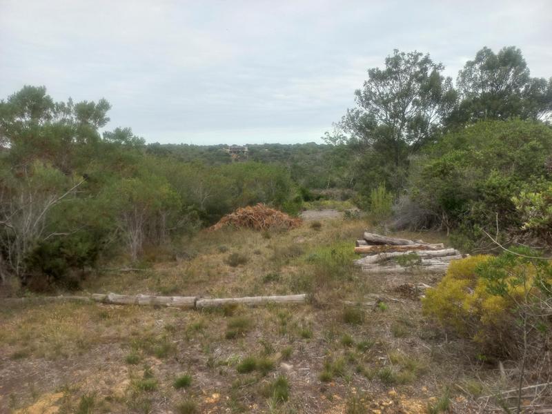 0 Bedroom Property for Sale in Wilderness Western Cape